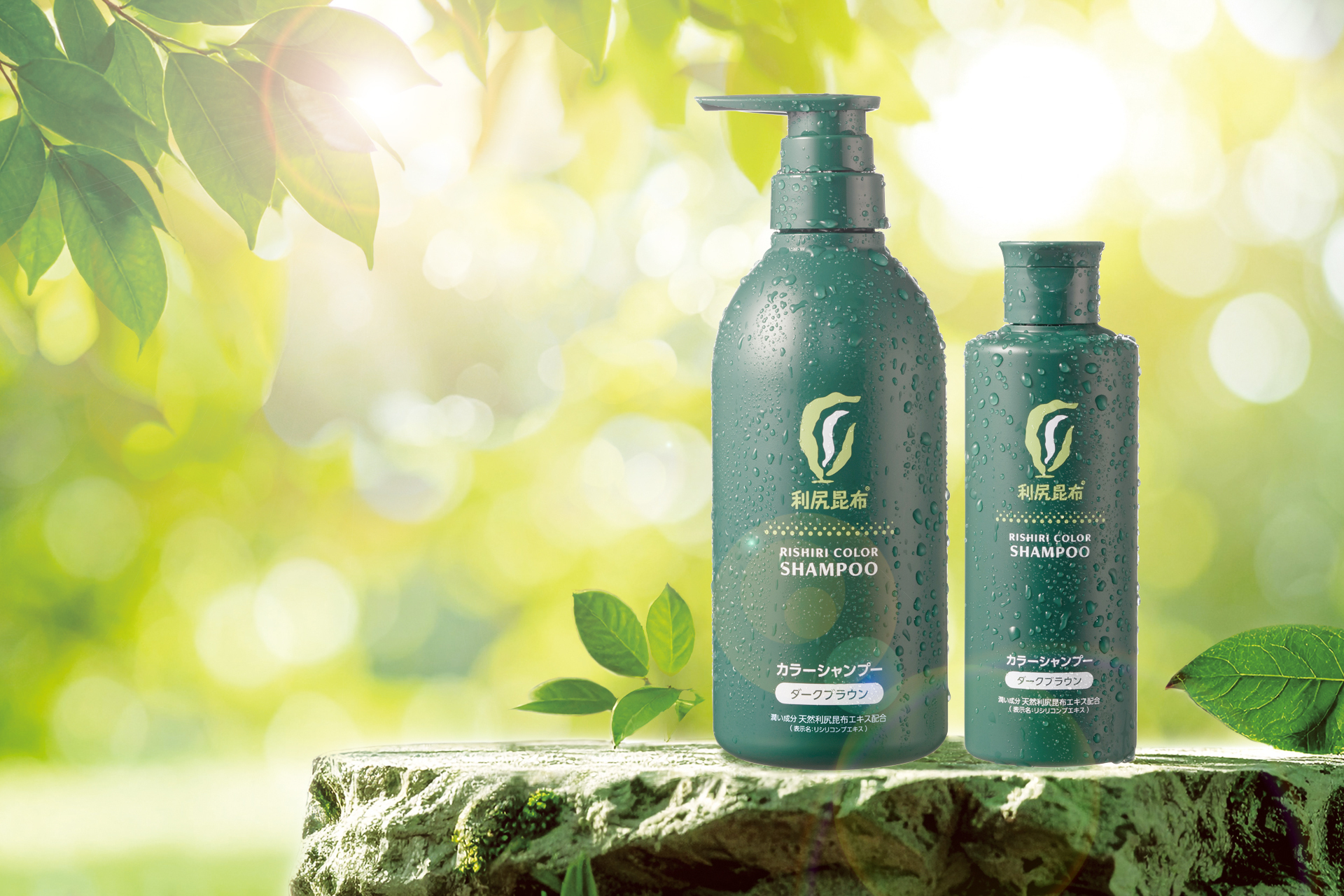 利尻カラーシャンプー13年目のリニューアル